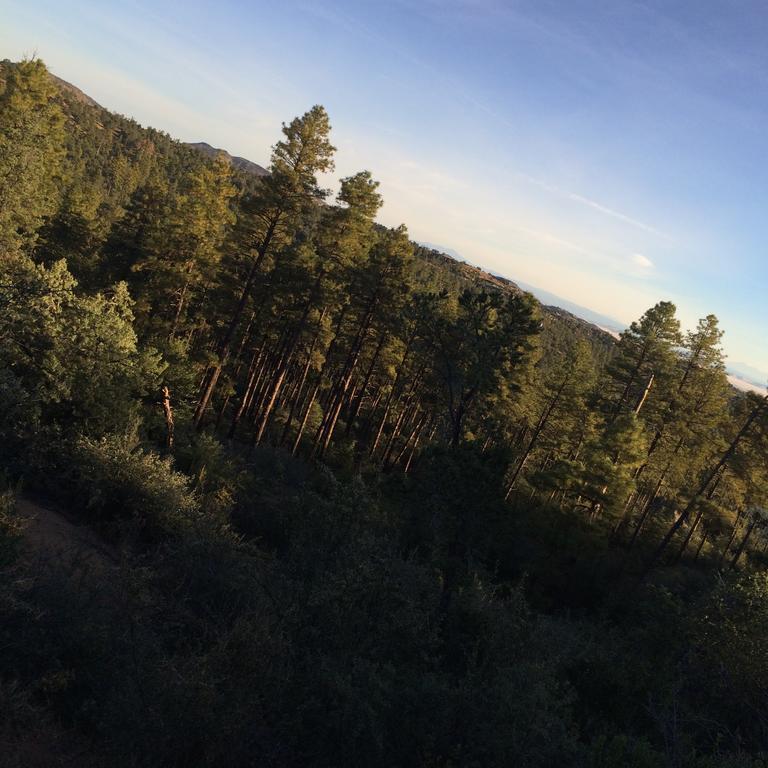 Apple Creek Cottages Prescott Dış mekan fotoğraf